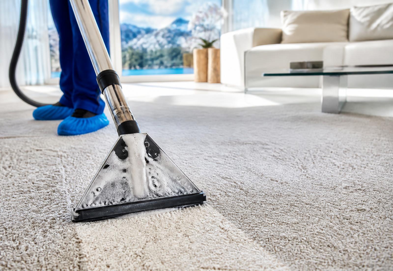 Professionelle Teppich-Tiefenreinigung in einem hellen Wohnzimmer
